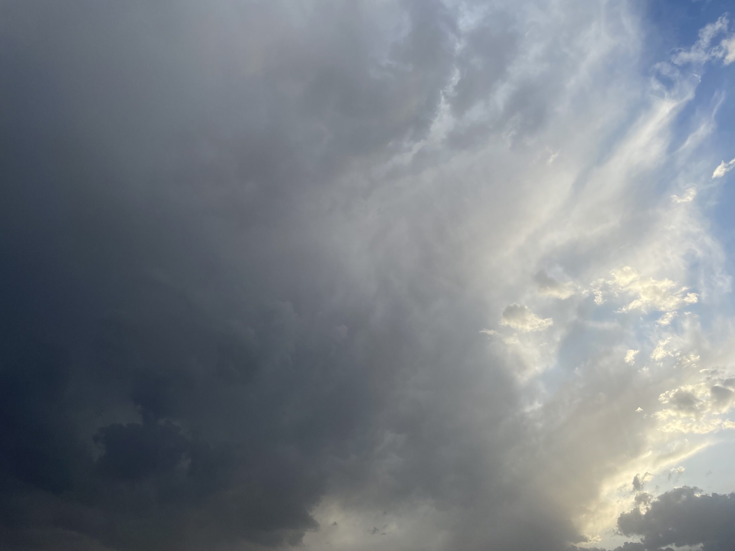 IMG_0062