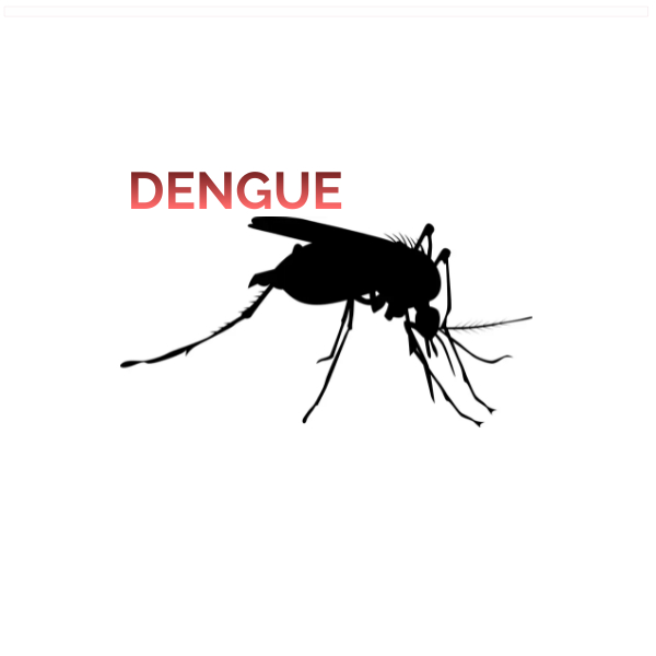 dengue logo dengue design - Made with PosterMyWall