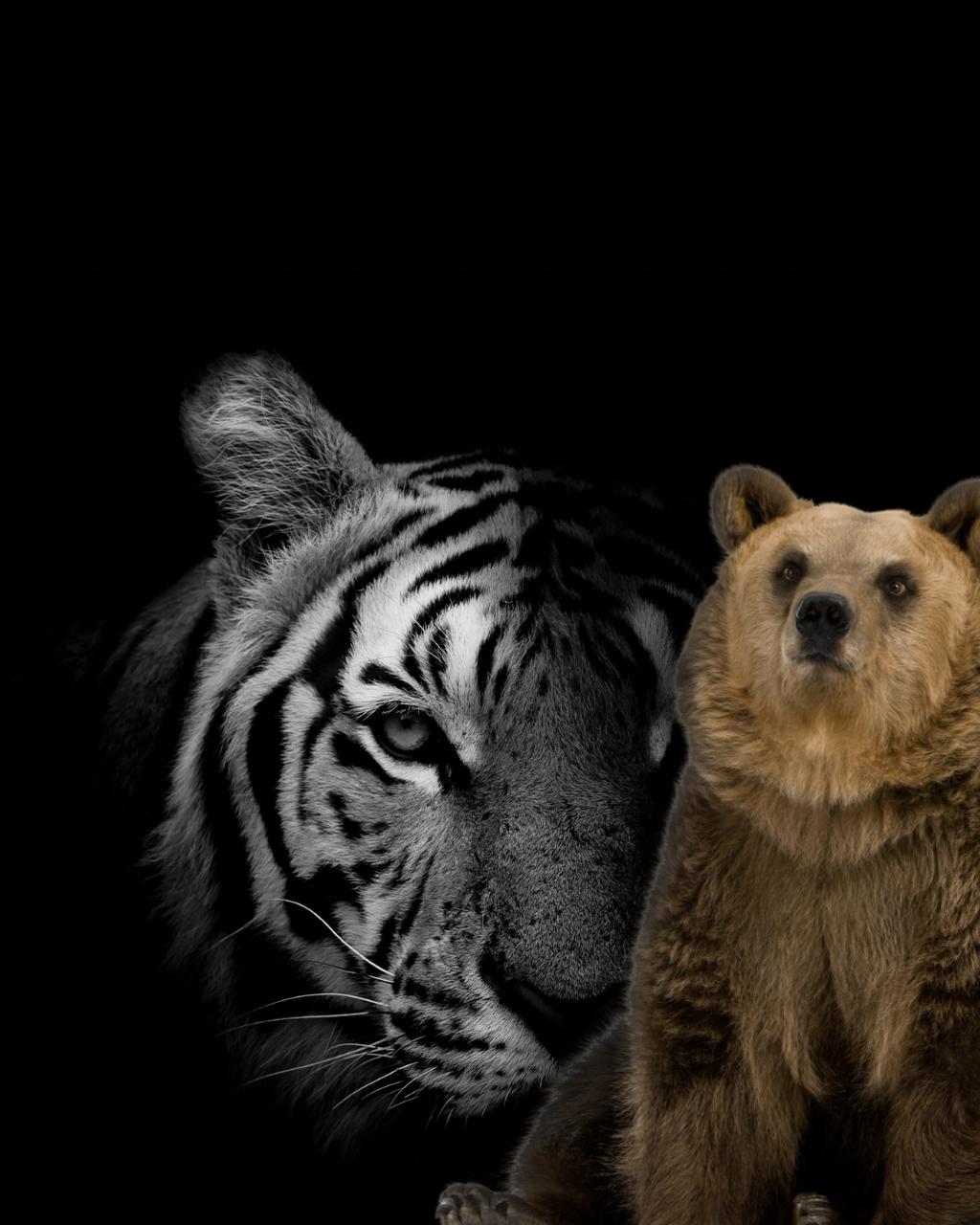 6727839a-be84-4824-90bb-3d60ba3ff8dd